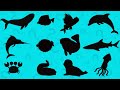 Guess The Shadow Of Sea Animals Educational Song For Kids