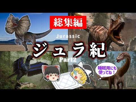 ディプロドク科について詳しく解説