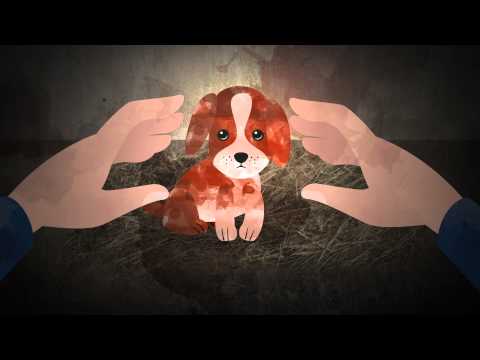 AG Welpenhandel: Neuer Animationsfilm im Kampf gegen illegalen Welpenhandel