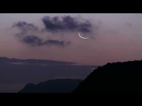 Loco-Los Simpaticos del amor