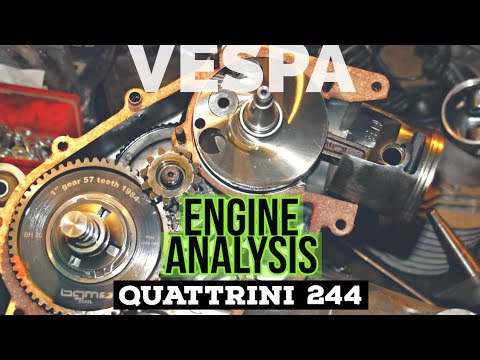 a 3800.- quattrini M244 vespa ENGINE analysed | official shop | FMP-SolidPASSion |
