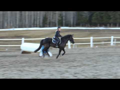 Terräng Träning Phillen