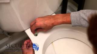 Replacing a Toilet Seat