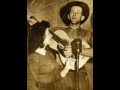 The cat came back  --  Tex Morton