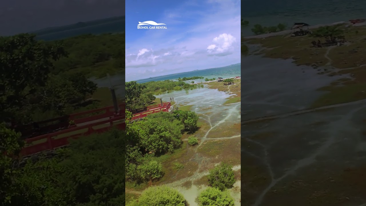 YouTube Short thumbnail