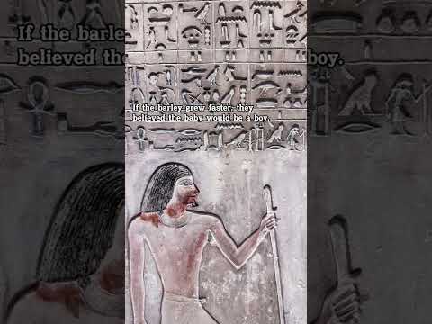 Old pregnancy tests ancient Egypt vs. 17th century #history #art  #egypt