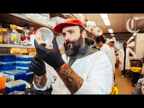 Superbugs could kill more than cancer. Why AI might be the ...