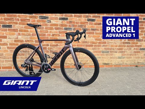 2023 Giant Propel Advanced 1 | Giant Lincoln