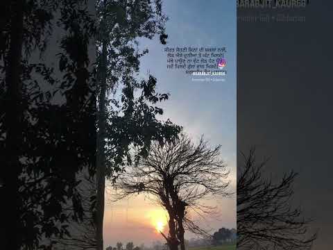 Dildarian 🤍🌸#subscribe #like #love #song #punjabisong #viralvideo #viralvideo #viralshorts #sarabjit