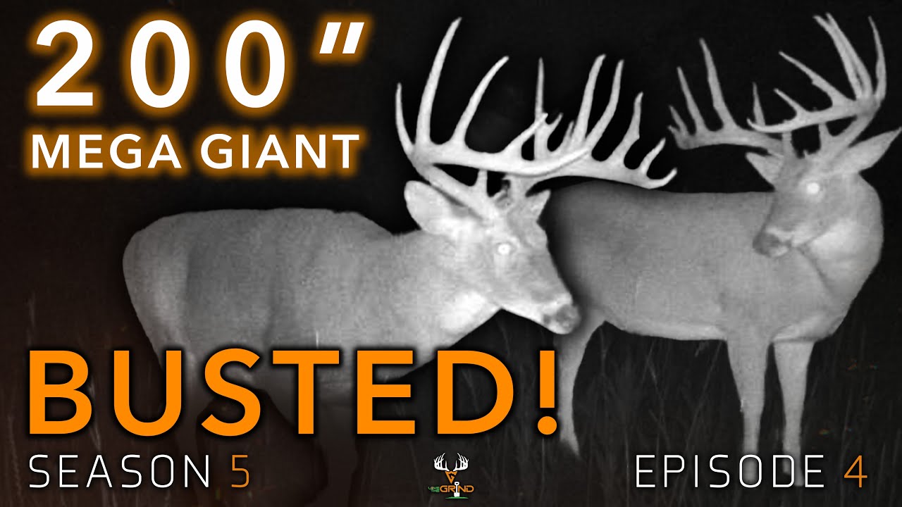 S5E4 200" Mega Giant BUSTED