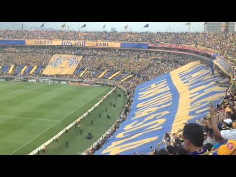 "Recibimiento TIGRES UANL 2 vs 0 Emelec" Barra: Libres y Lokos • Club: Tigres