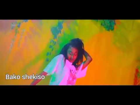 backo shakisa new music