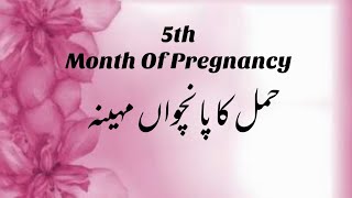 5th Month Of Pregnancy |5th Month Pregnancy Symptoms | Baby In 5th Month | Baby Development