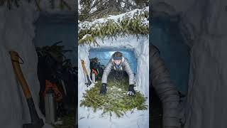 DON'T RUN! How to survive a -40°C Blizzard/#SurvivalSkills ,,#AISimulation ,#WildernessSurvival
