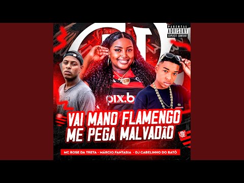Vai Mano Flamengo, Me Pega Malvadão