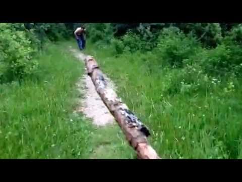 The Legend Boreal Sasquatch