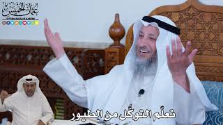 124 - تعلّم التوكُّل من الطيور - عثمان الخميس