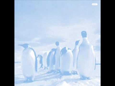 Fehr & Ellwart - comatose copilot