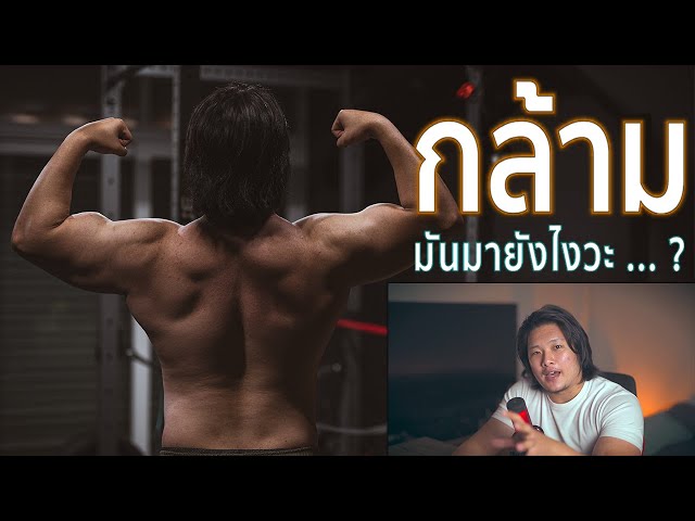 สร้างกล้ามยังไง & กล้ามถูกสร้างยังไง ? | เข้าใจง่ายโคตร