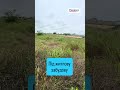 Видео превью