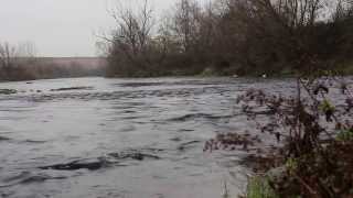 preview picture of video 'Водовъртеж на река Огоста, местността Изворът до село Крива бара'