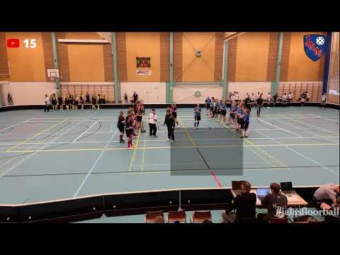 N3D: Jalas Salibandy - SBS PaHa