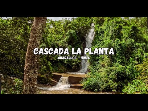 Cascada la Planta | Guadalupe Huila | Wil Calderón