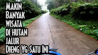 Download lagu Forest Kopi (Cafe Ditengah Hutan) Sekalian Cari Tempat Camping mp3 Download lagu Forest Kopi (Cafe Ditengah Hutan) Sekalian Cari Tempat Camping mp3