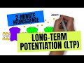 2-Minute Neuroscience: Long-Term Potentiation (LTP)