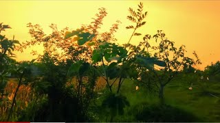 Download lagu CINEMATIC 30 DETIK | Cinematic sawah | story wa pagi hari | story wa aesthetic | CINEMATIC VIDEO mp3 Download lagu CINEMATIC 30 DETIK | Cinematic sawah | story wa pagi hari | story wa aesthetic | CINEMATIC VIDEO mp3