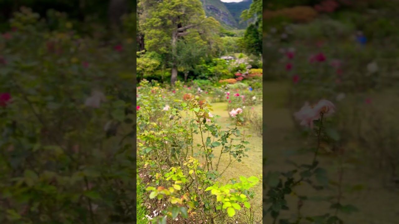 YouTube Short thumbnail