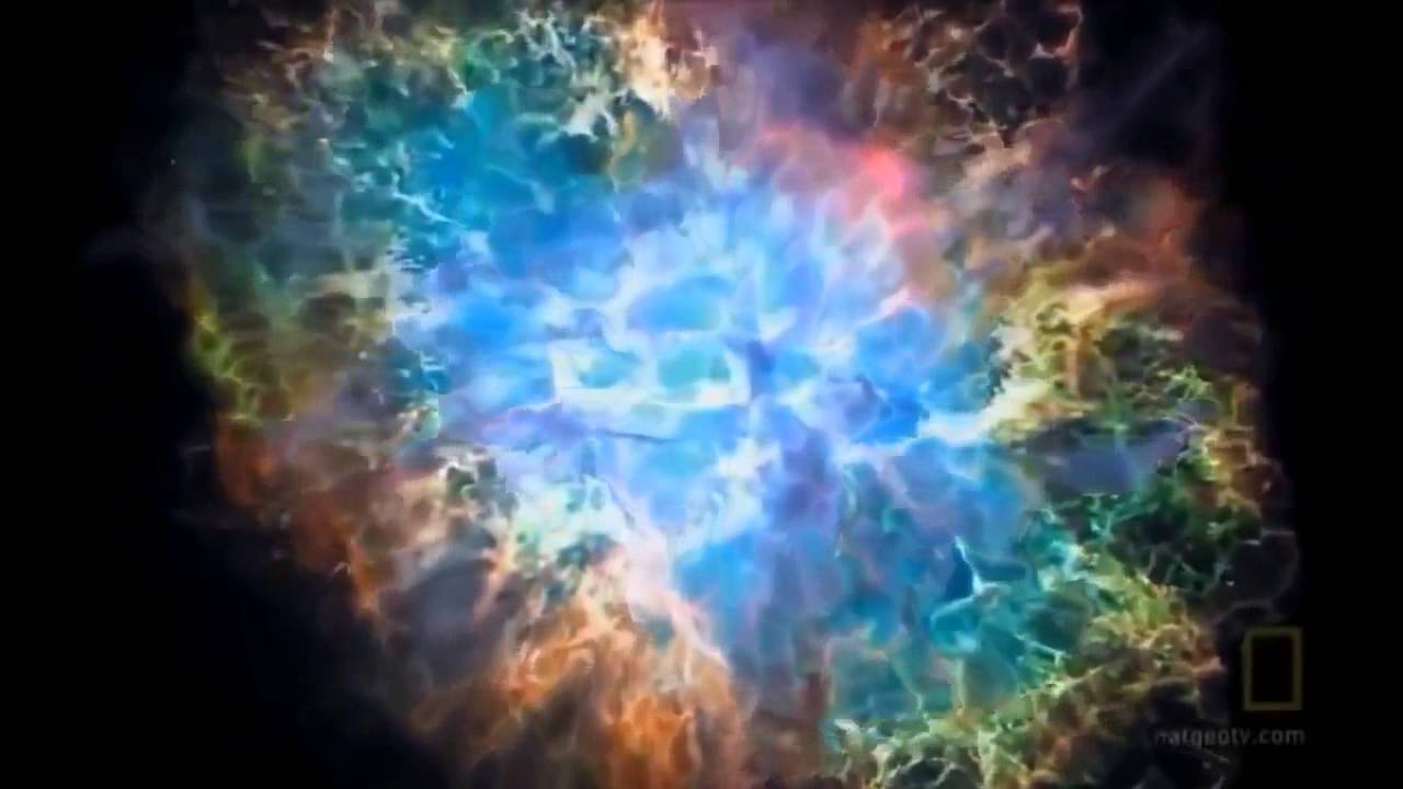 We Are the Aliens