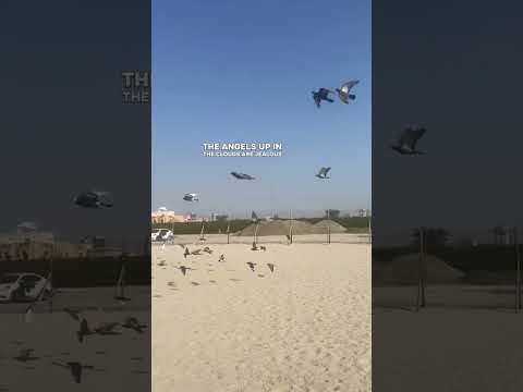 🏖️ #reels #beachday