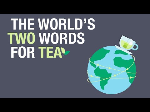 Why do most languages all have the same word for TEA?