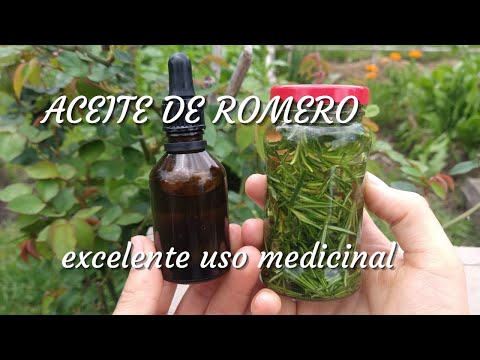 How to Make Rosemary Oil SUPER EASY AND FAST!