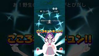 【だいじなたからばこ】コレクレーガチャが神過ぎた件w来週からカロスへの道が始まるので特別背景色違い狙って頑張りましょう！！【ポケモンGO】