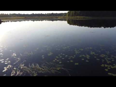 Bergholmen i brittsommar