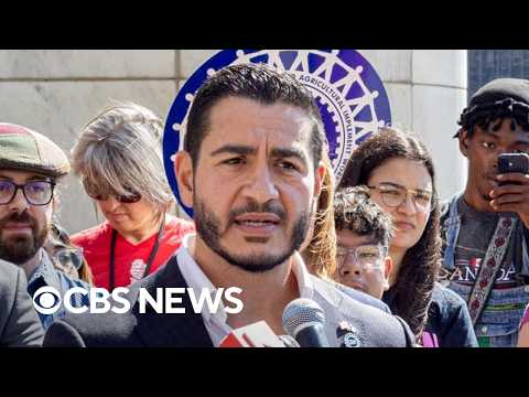 Former Bernie Sanders campaign adviser breaks down El-Sayed's win in Michigan