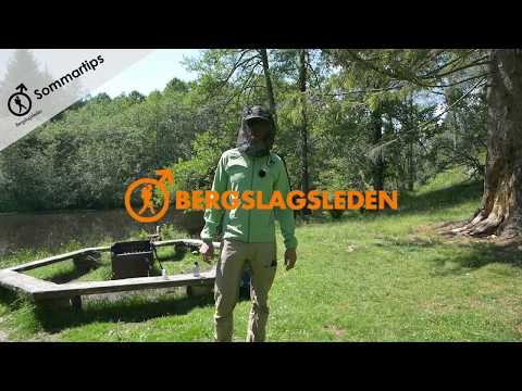 Bergslagsledens sommartips - skydda dig mot mygg