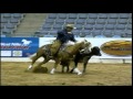 Rob Thomas - One Shot (for National Reined Cow Horse Association)