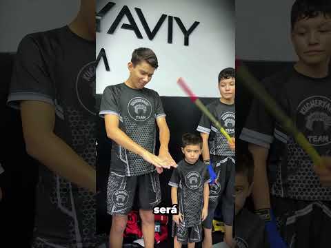 Disciplina do Mestre de Artes Marciais