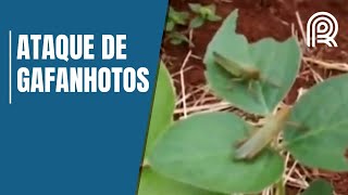 Miniatura do vídeo