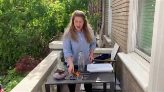 Family Activity: Berlese Funnel