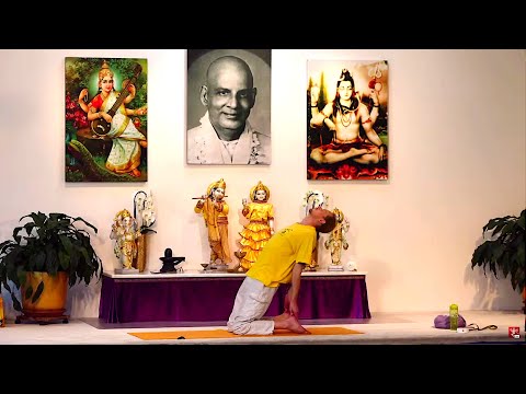 Yogastunde Mittelstufe Yoga Vidya Grundreihe: "Variationen" mit Mahindra 09:15 Uhr 05.07.2020