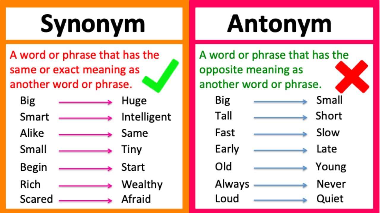 SYNONYM vs ANTONYM 🤔 | What's the difference | Learn with examples