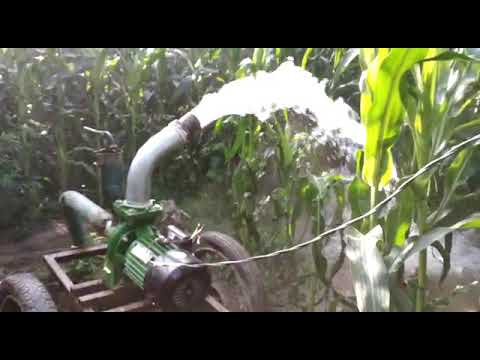 Koel electric monoblock 2 hp 3*3