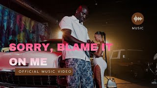 Akon - Sorry, Blame It On Me (Official Music Video)
