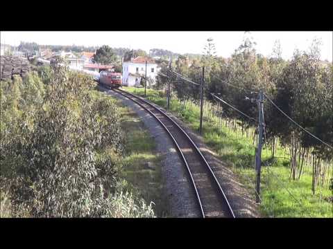 Comboio de Madeira nº 57635 - Linha do Oeste