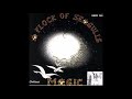 A FLOCK OF SEAGULLS -  Magic Dance Instrumental   1989