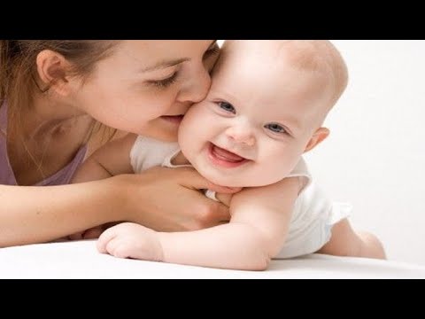 Harpa Cristã Hino 447 Nascer de Novo